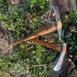 Long-Handled Hoe